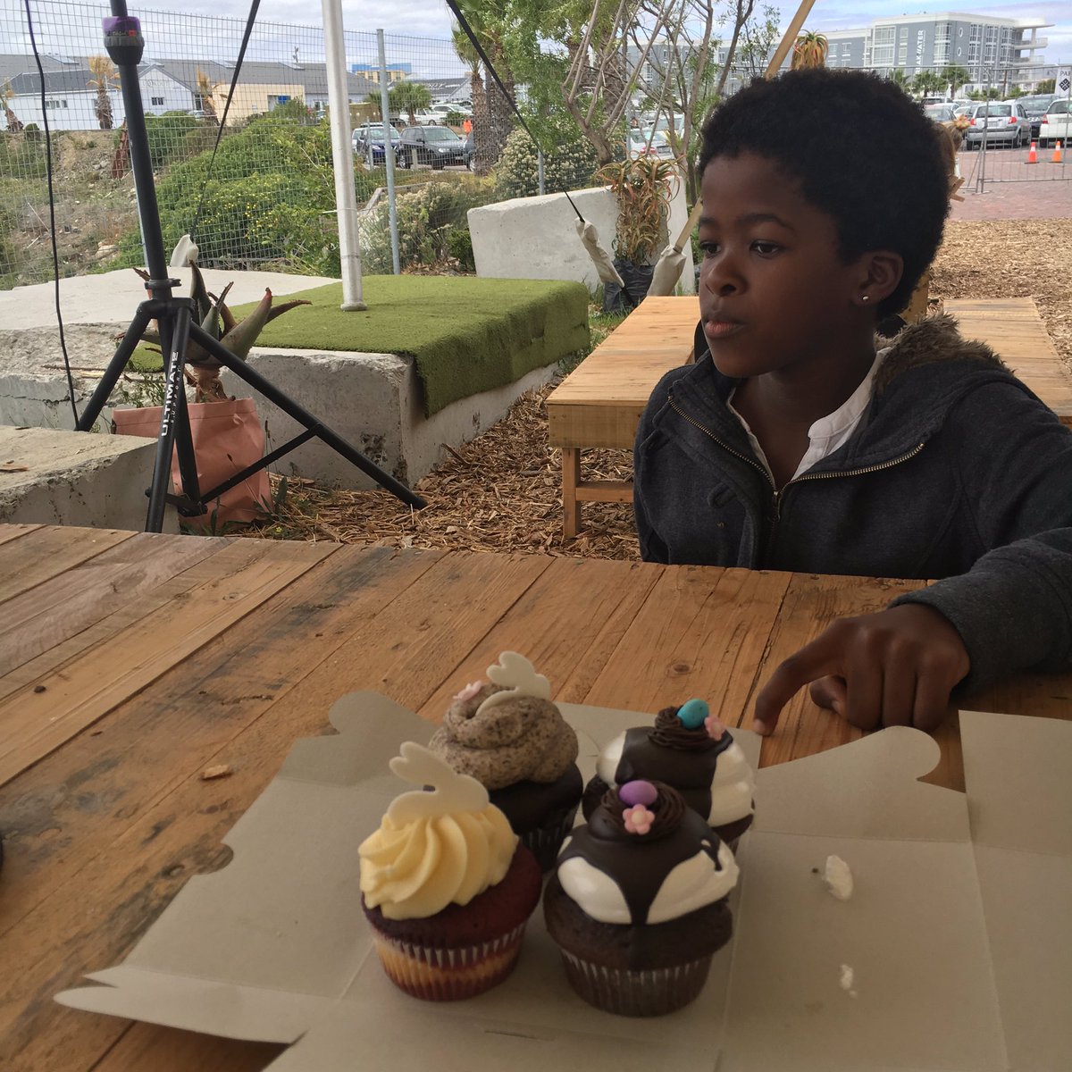 nm_nikho's tweet photo. #capeholiday cupcakes #OZCF https://t.co/IV0OfpX1vX