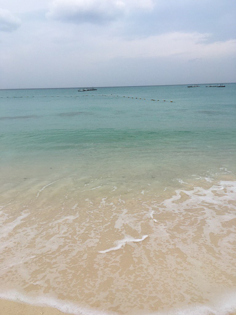 kumatokurara's tweet photo. うーみーはーひろいーなーおおきーいーなーーーーー https://t.co/cFV9GUoVOI