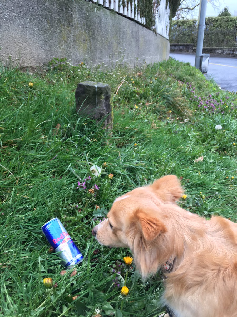 KeepCycling's tweet photo. Please stop! #NeJetezPlus #DoNotLitter #RespectMotherNature And trash can is just 10m on the right... Crazy! https://t.co/o5Tk6rPDqK