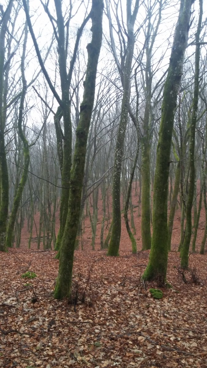barnagtig's tweet photo. Very wet rainy Day https://t.co/M4fvRB4c7z