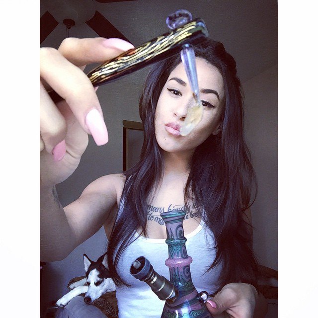 GanjaGirls's tweet photo. . Knockem dead with this HGH OG 👊💕💀 #TwoSleepyJs #hghextractions #SkiMaskGlass #ItMightBeGangRelated #CoolComplex @… https://t.co/03WPSj7M7W