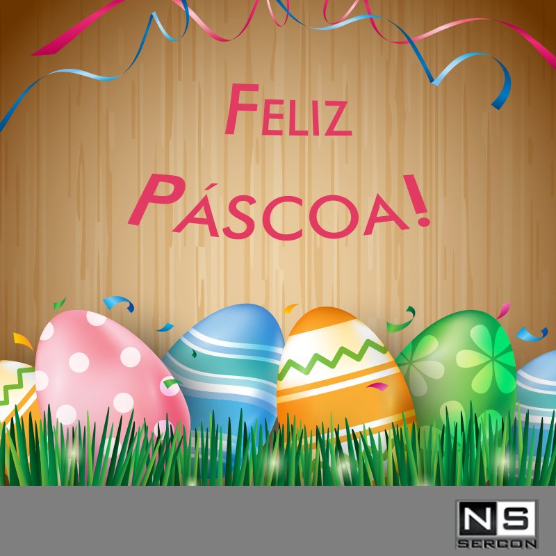 NS_Sercon tweet picture