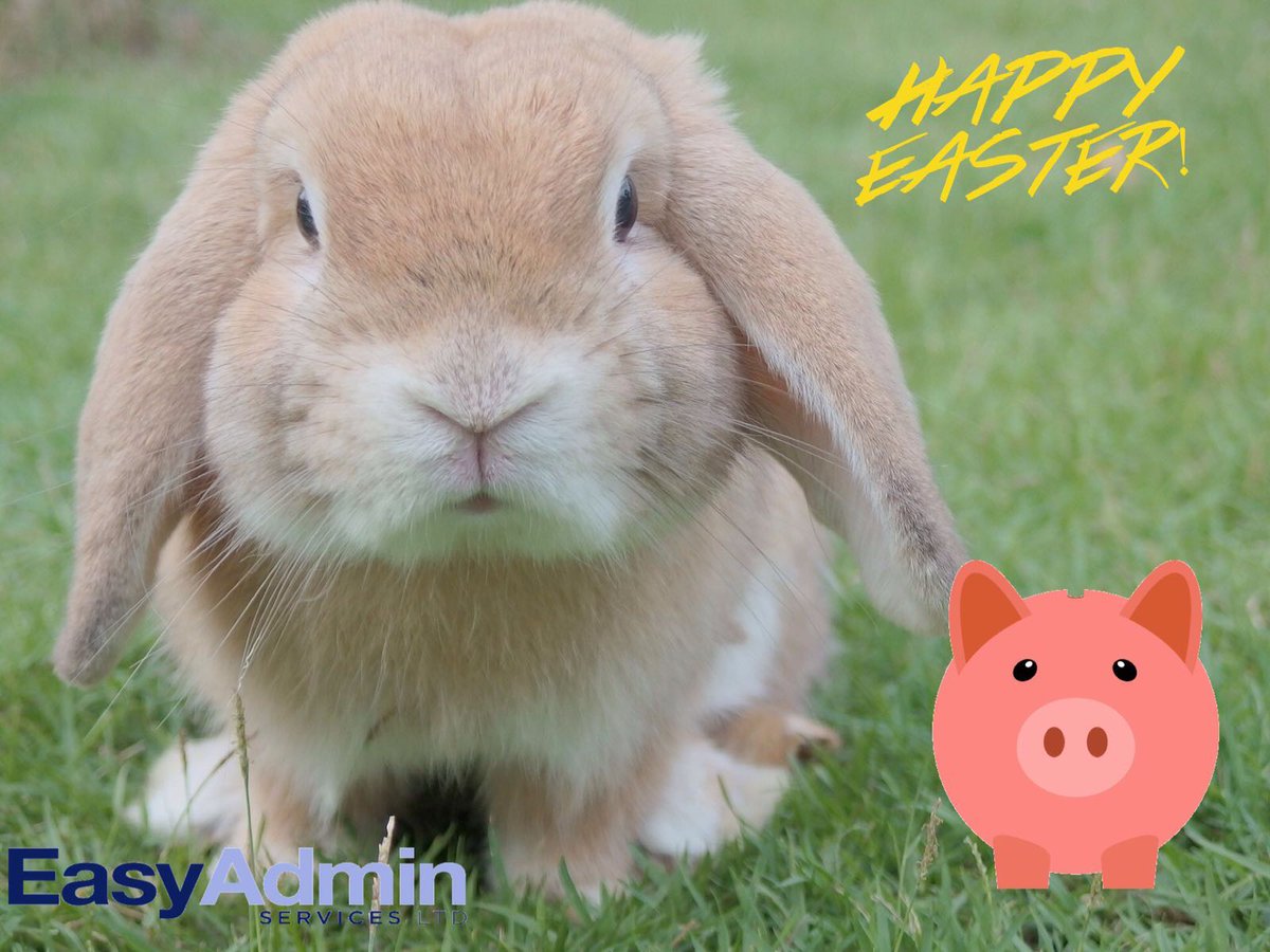 easy_ad_serv's tweet photo. Happy Easter from Onka and Us! Hope you are having a lovely #Holiday weekend! #SmallBiz #PigBabe #EasterEggs https://t.co/chGtVSrqPc