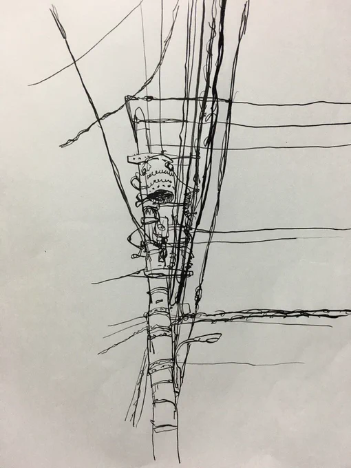 電柱 