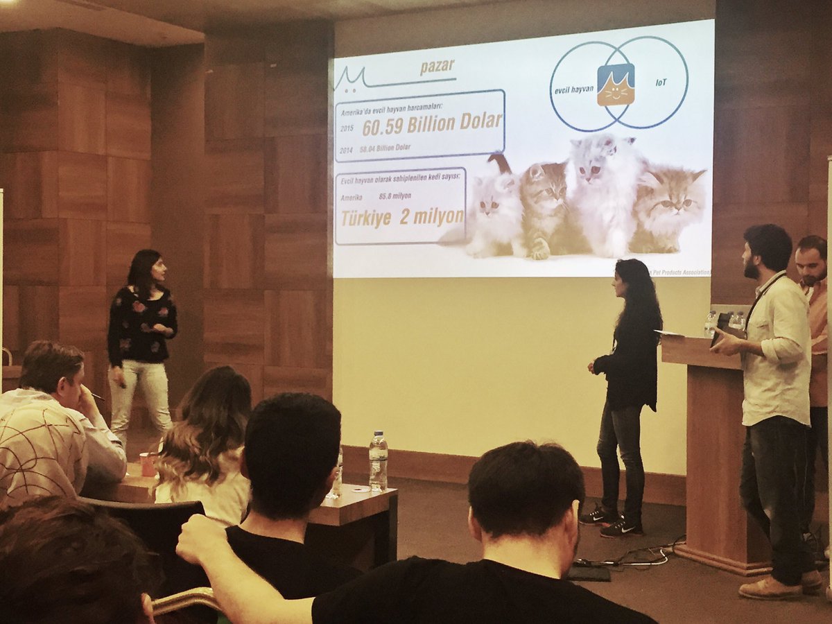 TurkeySW's tweet image. Uzaktan kedinizi nasıl eğlendirirsiniz? Miyaw sahnede ve uygulama jüri tarafından inceleniyor! #swankara