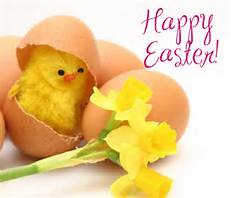 Happy Easter from everyone at The Hub!