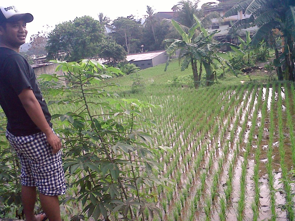 Sigitt Wardhana (@sigitt05) on Twitter photo 