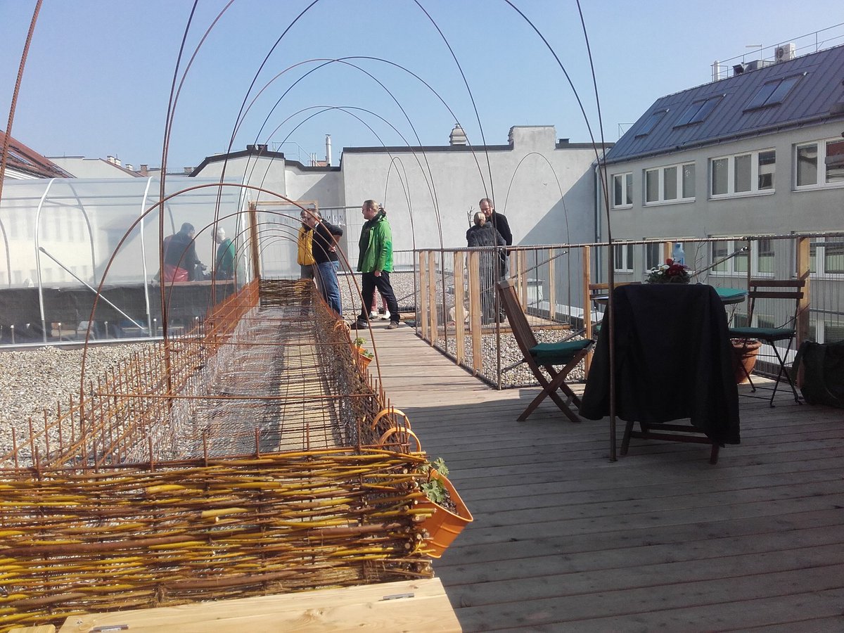 selfmadeinprogr's tweet photo. https://t.co/y2cMGa9pOc #gartenwerkstadt #gruenerdaumen #selfmadeinprogress #angeleitetereigenbau https://t.co/VH6tNfIKIo