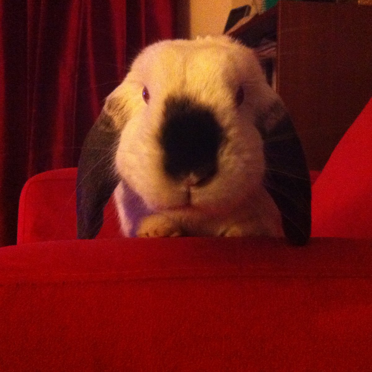 Kevin Parry tweet media