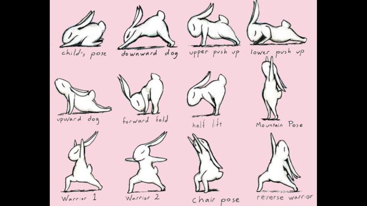 Love this Easter Yoga Practice inspiration with Yoga Bunny by Brian Russo bunnyoga.com
Have a blessed day