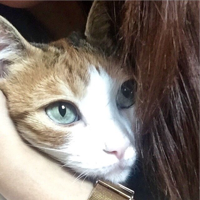 IoustinaB's tweet image. Τσίτση μου...❤️