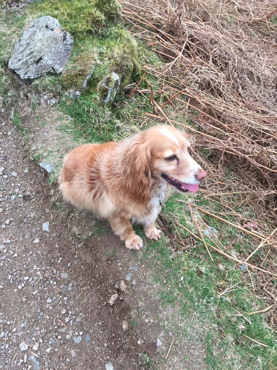 sharpna's tweet photo. #yorkshirethreepeak16 https://t.co/hsI8ggQPbt