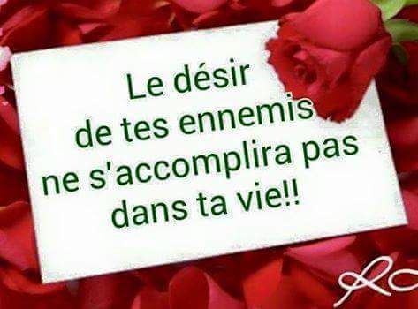 PatrickWinnerJ1's tweet photo. Bn Dimanche a tous https://t.co/ZEkbVmjThX