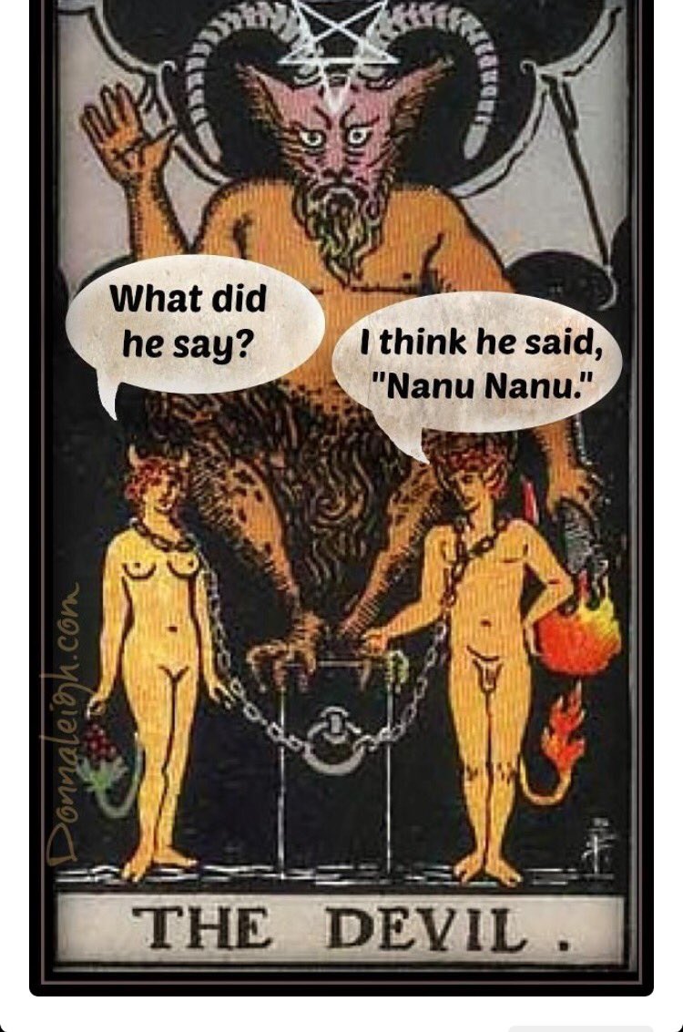 PalmTreeTarot's tweet photo. #Tarot #Healer #LightWorker #Priestess #TarotReading #Divination #NanuNanu #MorkAndMindy #Options https://t.co/4j73FuusoY
