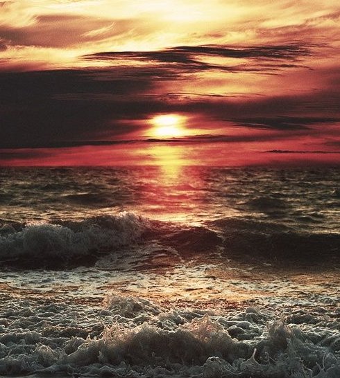 Beth Smart tweet media