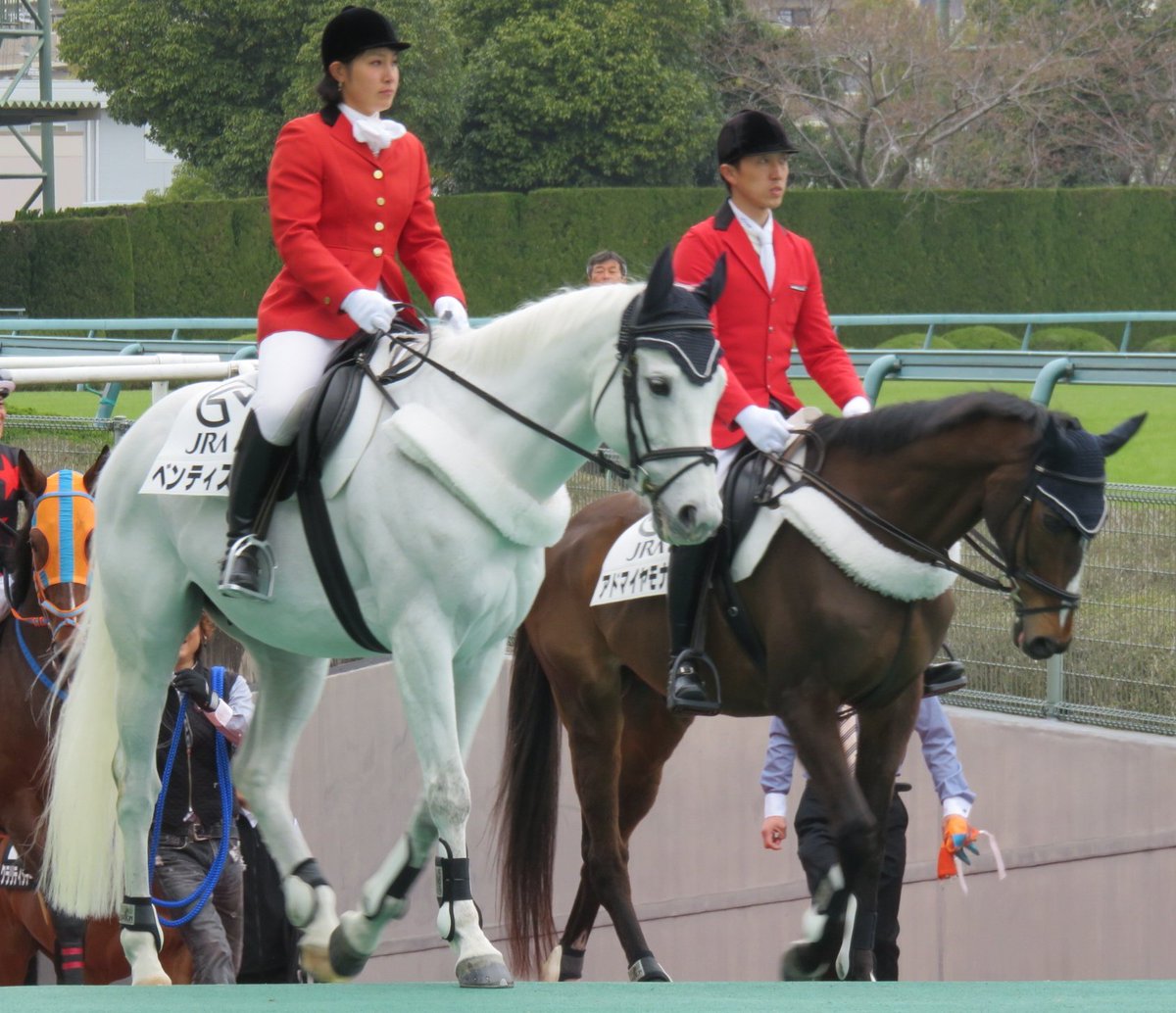 やまぴ🐎 on Twitter: