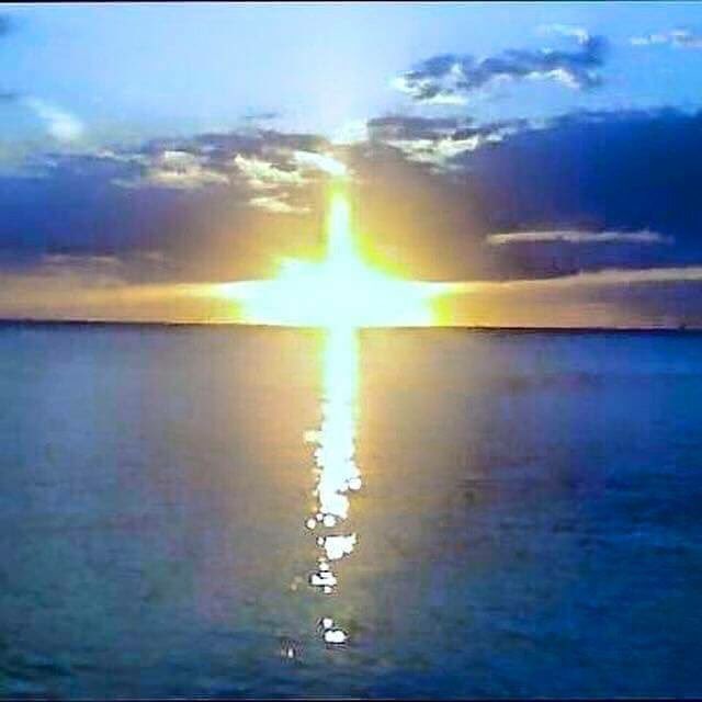 World Meeting 2015 tweet media