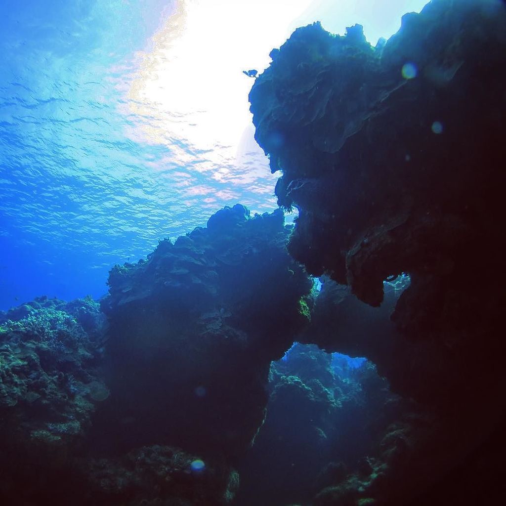 ParadiseCoveStt's tweet photo. twgate shares: Sun shining down on the reef on #cozumel #scuba #scubadiving #scubadive #scubadiver #scubalife #uwph… https://t.co/Nik5yBbG43