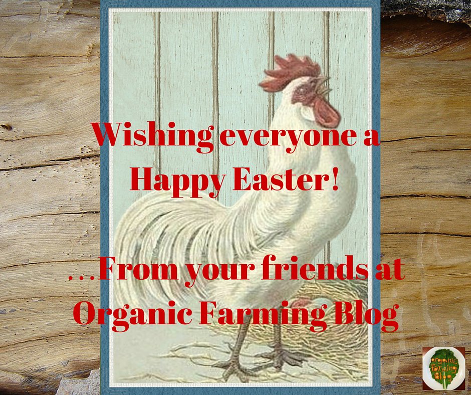 OrganicFarmingB's tweet photo. https://t.co/THxDrPrAon
