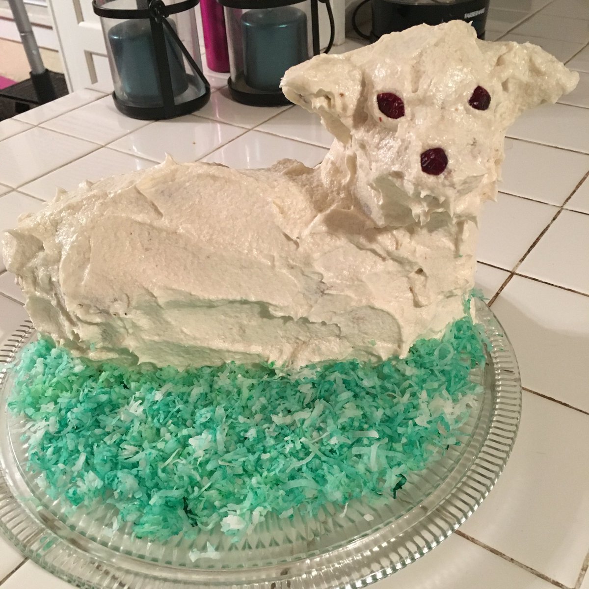 RBerlin's tweet photo. Happy Keister from the Lamb of Phil. #Baranek #Keaster https://t.co/kztjtdN1FY
