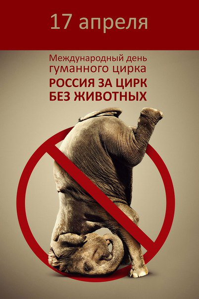 StopCircus's tweet image. 17 апреля РОССИЯ ЗА МЕЖДУНАРОДНЫЙ ЗАПРЕТ ЦИРКА С ЖИВОТНЫМИ vk.com/wall-90550600_… #БойкотЦиркам #цирк #новости #рт