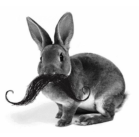 BMbeardCo's tweet photo. #Easter #Moustache https://t.co/WAuBPPpF6I