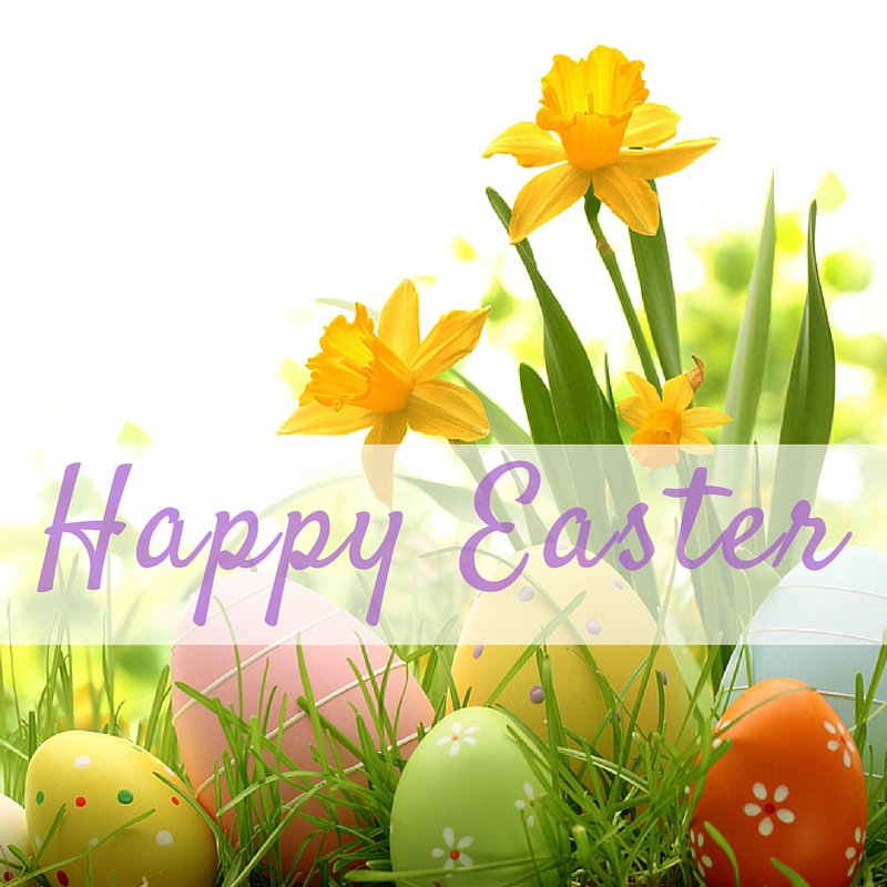 TheSmallBizPros's tweet photo. Happy Easter! Have a wonderful day with your friends &amp; family! https://t.co/lbeGkCDaQT