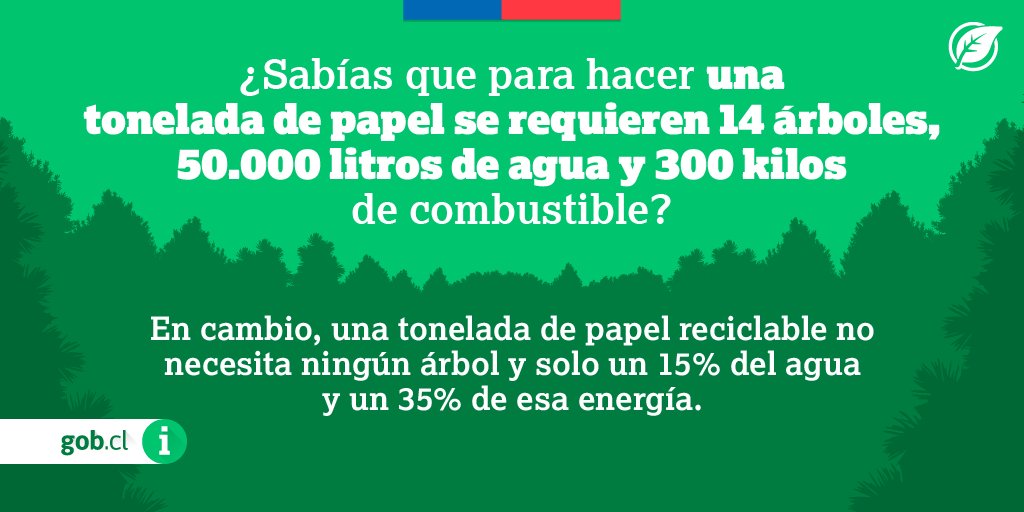 Electrónico Posibilidades Rápido cuantos arboles se necesitan para