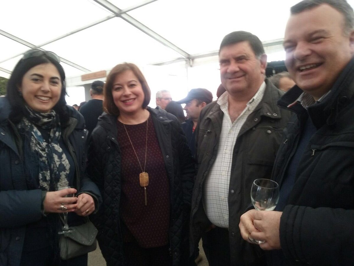 ElenaCandiaLu tweet picture