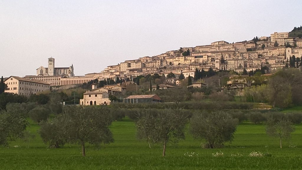 d_valsecchi's tweet photo. #Easter in Assisi @hoteldomuspacis https://t.co/hiENHhRPgt