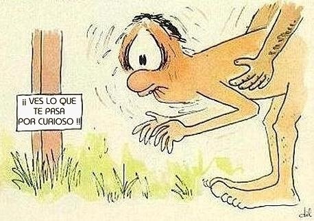MatiiSegovia96's tweet photo. -Por curioso te puede pasar eso!
-Ten cuidado https://t.co/GHUZD3ygXn