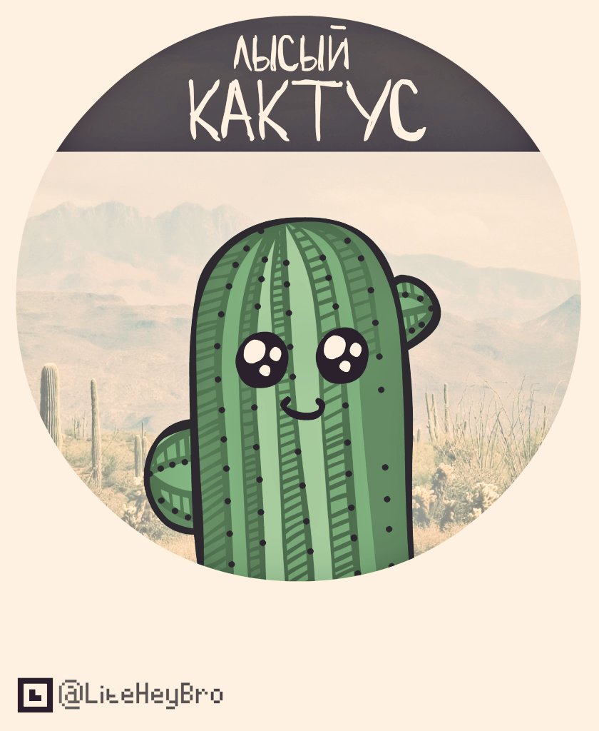 Лысый Кактус