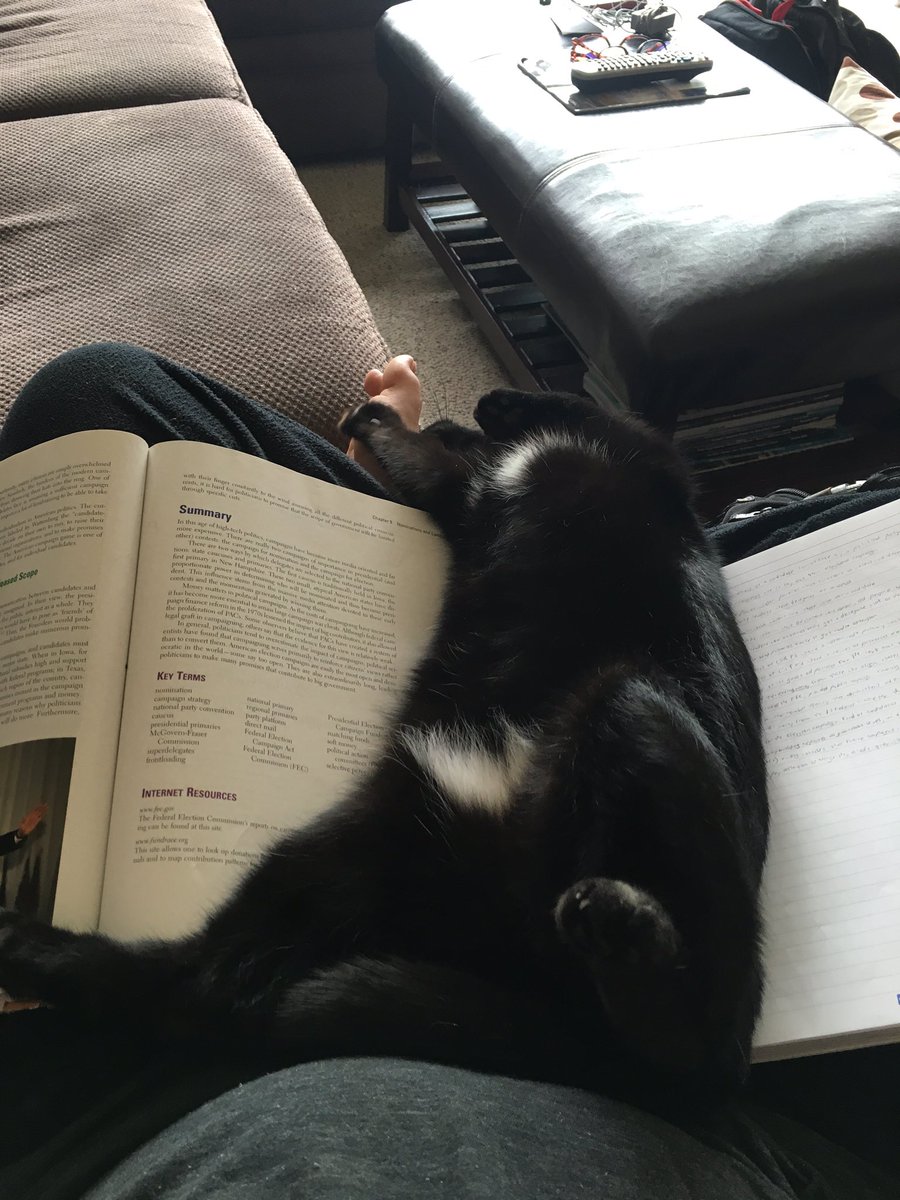 TBenster's tweet photo. Guess I'm not gonna do homework today https://t.co/H5EblPVvjP