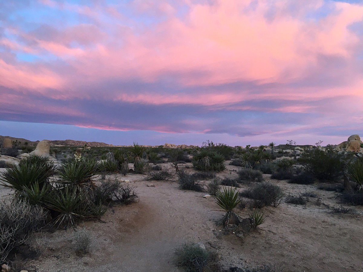 Mother nature being festive! Easter sunrise in the desert🐰💐🌞