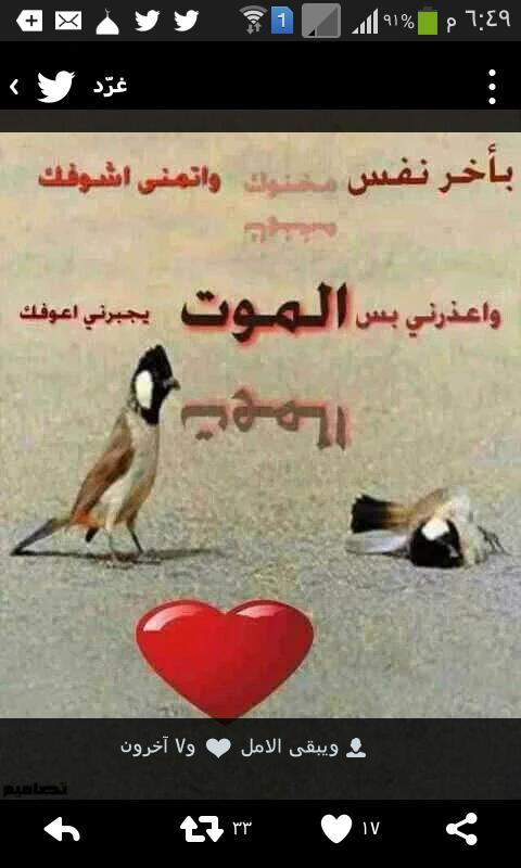اخ من الزمان والحياة (@ailiail7568) on Twitter photo 