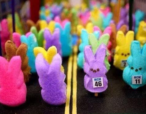 Run_SteveC's tweet image. #happyeaster to all my twitter #runningbuddies
