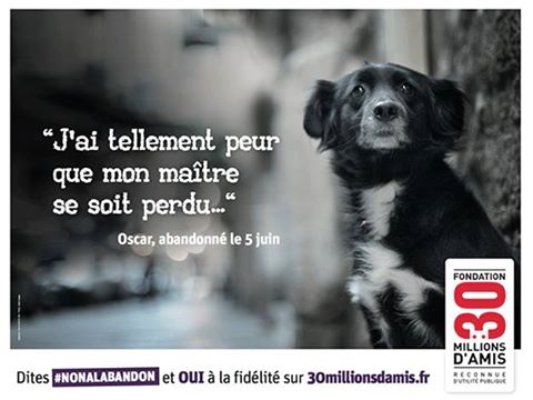 monde_biodi's tweet photo. Pensez-y. https://t.co/Xgzcy9dYA7