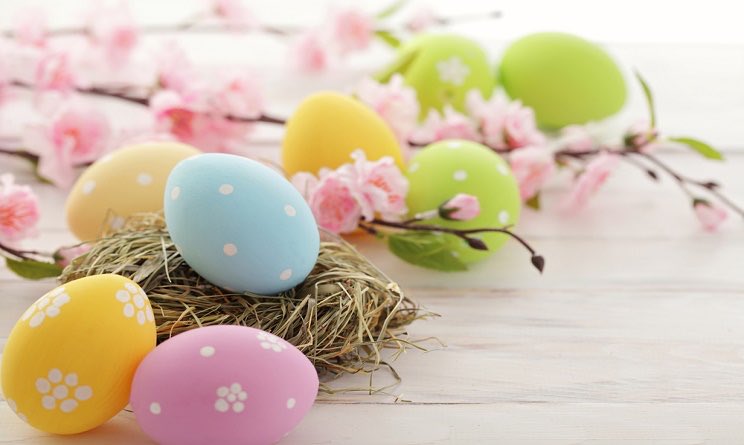 ISEF Torino tweet media