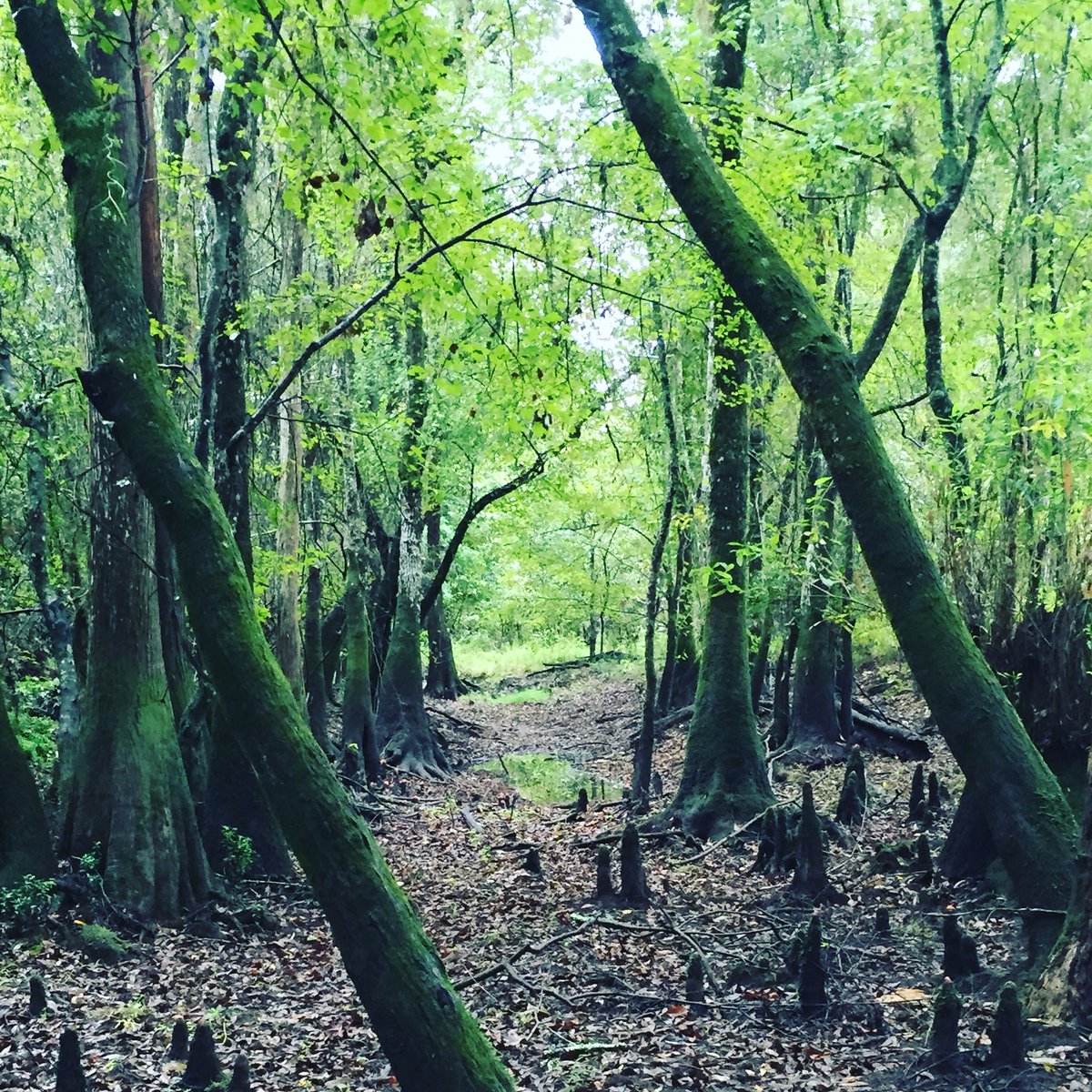 Here's some Easter scenery as I wait for my delicious home cooked meal. It's times like these to appreciate the Lord