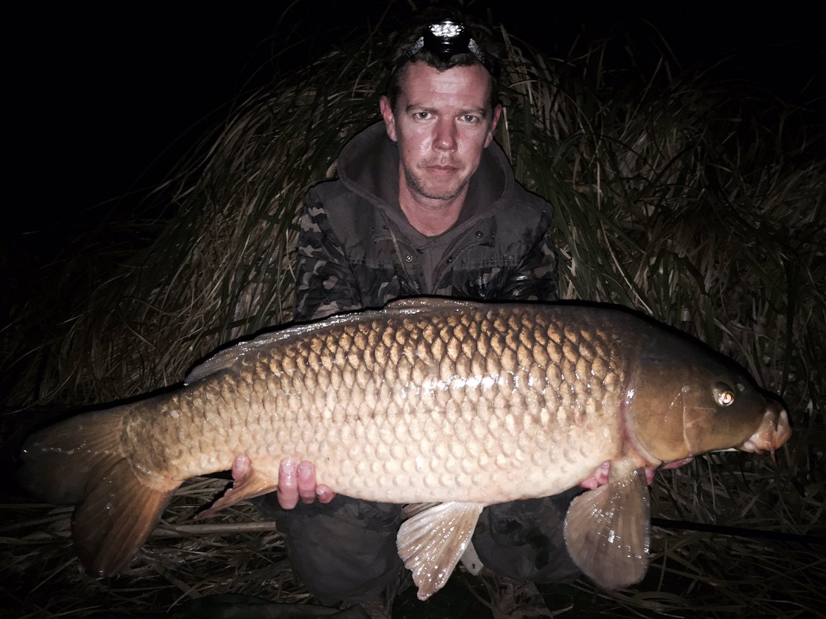 ski35's tweet photo. Lovely brace of commons this Easter #carpfishing #trakker #foxint #navitas #@WintonsFishery https://t.co/sRvBScB6nN