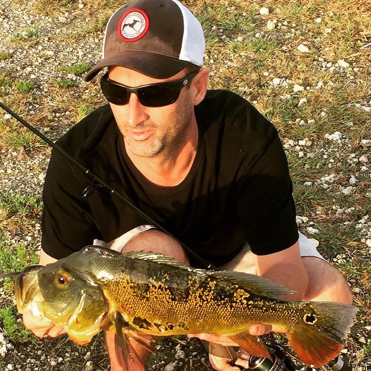 flyingfishrman's tweet photo. These Easter peas come in wild colors! #myeasteregg #peacockbass #peacock #fishing #evergl… https://t.co/lJIT95LLaw https://t.co/MFBDaecIYz