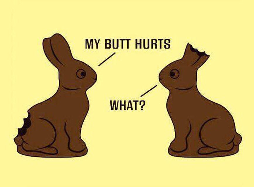 Happy Easter, bunnies. 