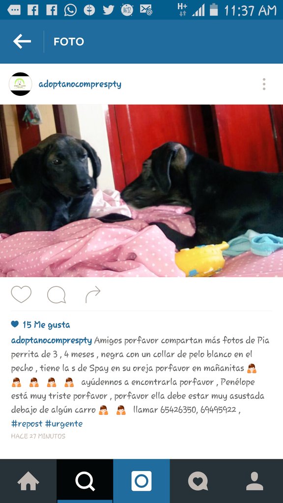 lina534jaramil1's tweet photo. Ayudanos a difundir por favor https://t.co/sYe8gkpQLD