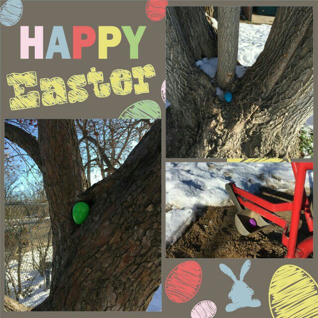 MoesBagels's tweet photo. The annual Moes #EasterEggHunt is on! We hid our eggs around town; find one &amp; you win a bagely prize!! #HappyEaster https://t.co/UonmaZGXQS