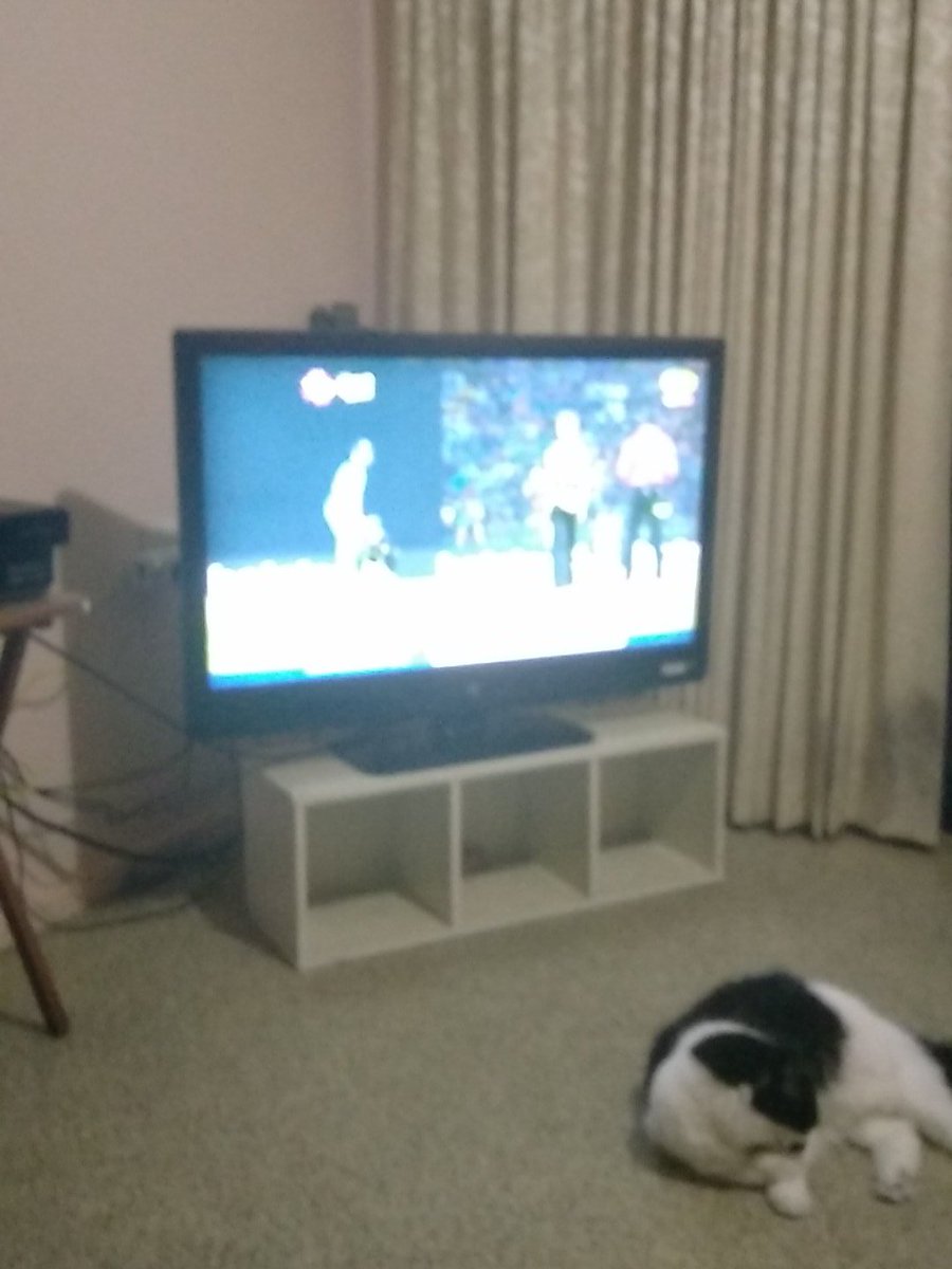 oddaussie67's tweet image. Watching the Cricket Australia Vs India what a great game this is going to be Go Australia Aussie Aussie Oy Oy