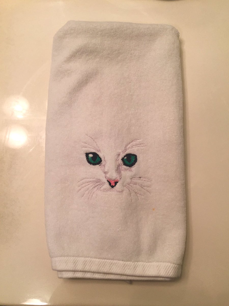 aRod_says's tweet photo. This dope cat hand towel my mom put out in the guest bathroom is just begging for a face swap. #Home4Easter https://t.co/nyiVHqUbl1