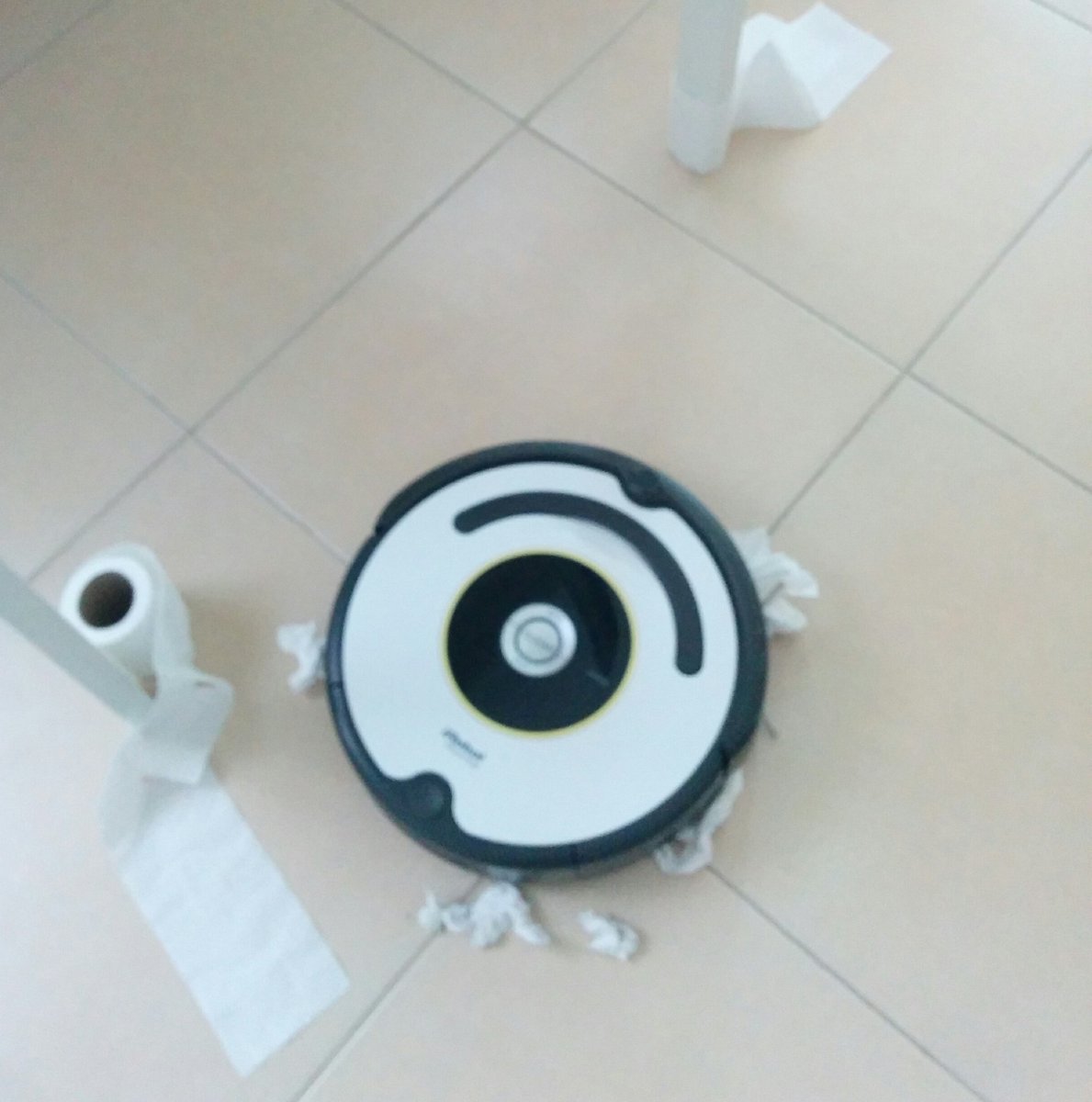 _RoniKay's tweet image. iRobot tried to commit suicide with toilet paper