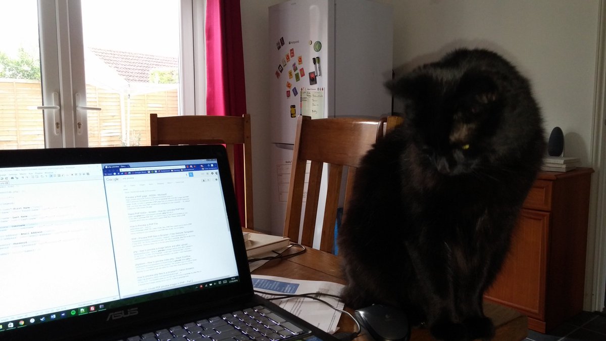MK_Hau's tweet image. #catcoding