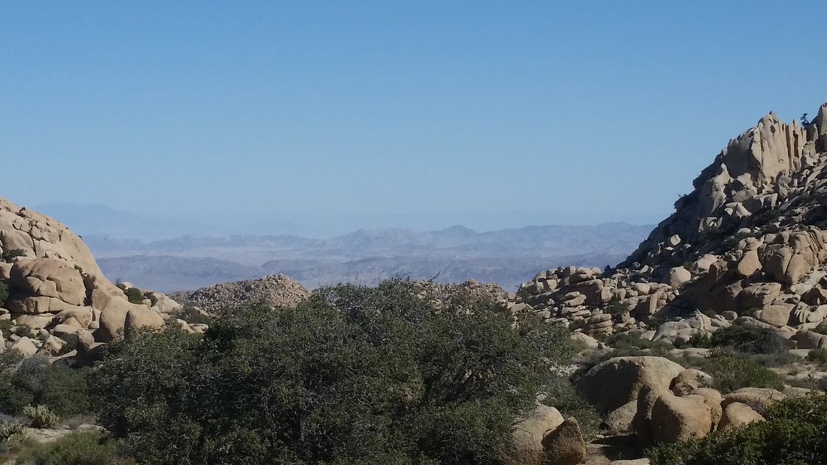 Hiking tweet media