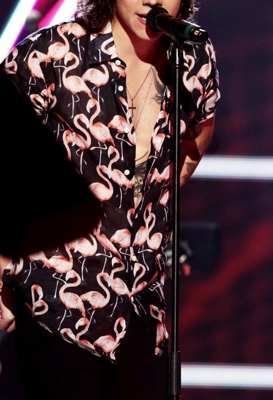 WhyLarryIsReal's tweet photo. BIRDIES AND BUTTERFLY PEEKING OUT :3 flamingo baby. you're a work of art. muffin prince 🙏 https://t.co/gFPGMWGqJn